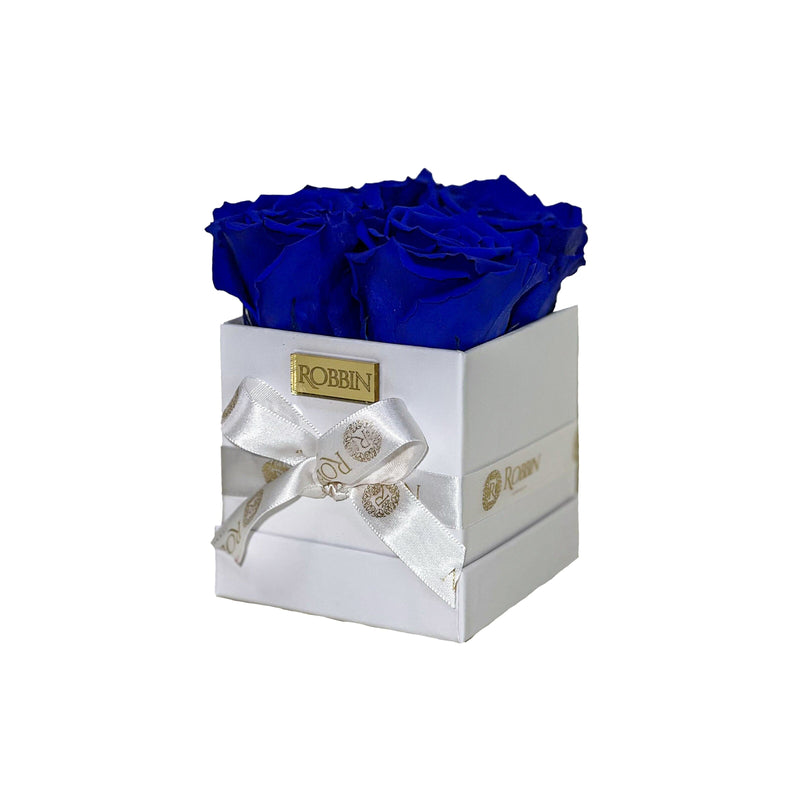 Mini Box Preserved Roses Miami Florida.. Preserved Roses Robbin Legacy Blue White 