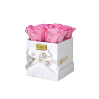 Mini Box Preserved Roses Miami Florida.. Preserved Roses Robbin Legacy Pink White 