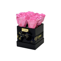 Mini Box Preserved Roses Miami Florida.. Preserved Roses Robbin Legacy Pink Black 