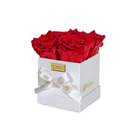 Mini Box Preserved Roses Miami Florida.. Preserved Roses Robbin Legacy Red White 