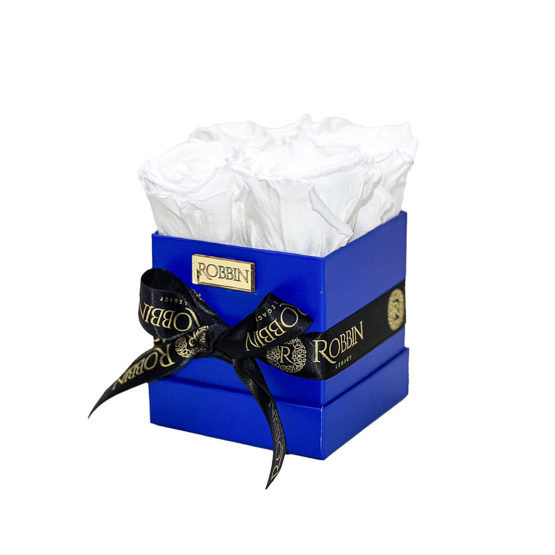 Mini Box Preserved Roses Miami Florida.. Preserved Roses Robbin Legacy White Blue 