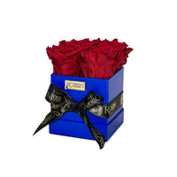 Mini Box Preserved Roses Miami Florida.. Preserved Roses Robbin Legacy Red Blue 