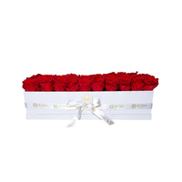 Rectangular Box Preserved Roses Miami Florida.. Preserved Roses Robbin Legacy Red White 