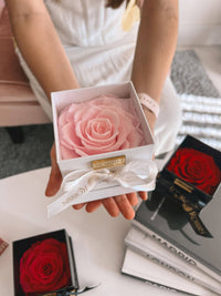 1 Preserved Rose Box Miami Florida and Nationwide.. Preserved Roses Robbin Legacy Pink White 