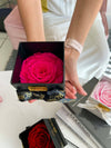 1 Preserved Rose Box Miami Florida and Nationwide.. Preserved Roses Robbin Legacy Fucsia Black 