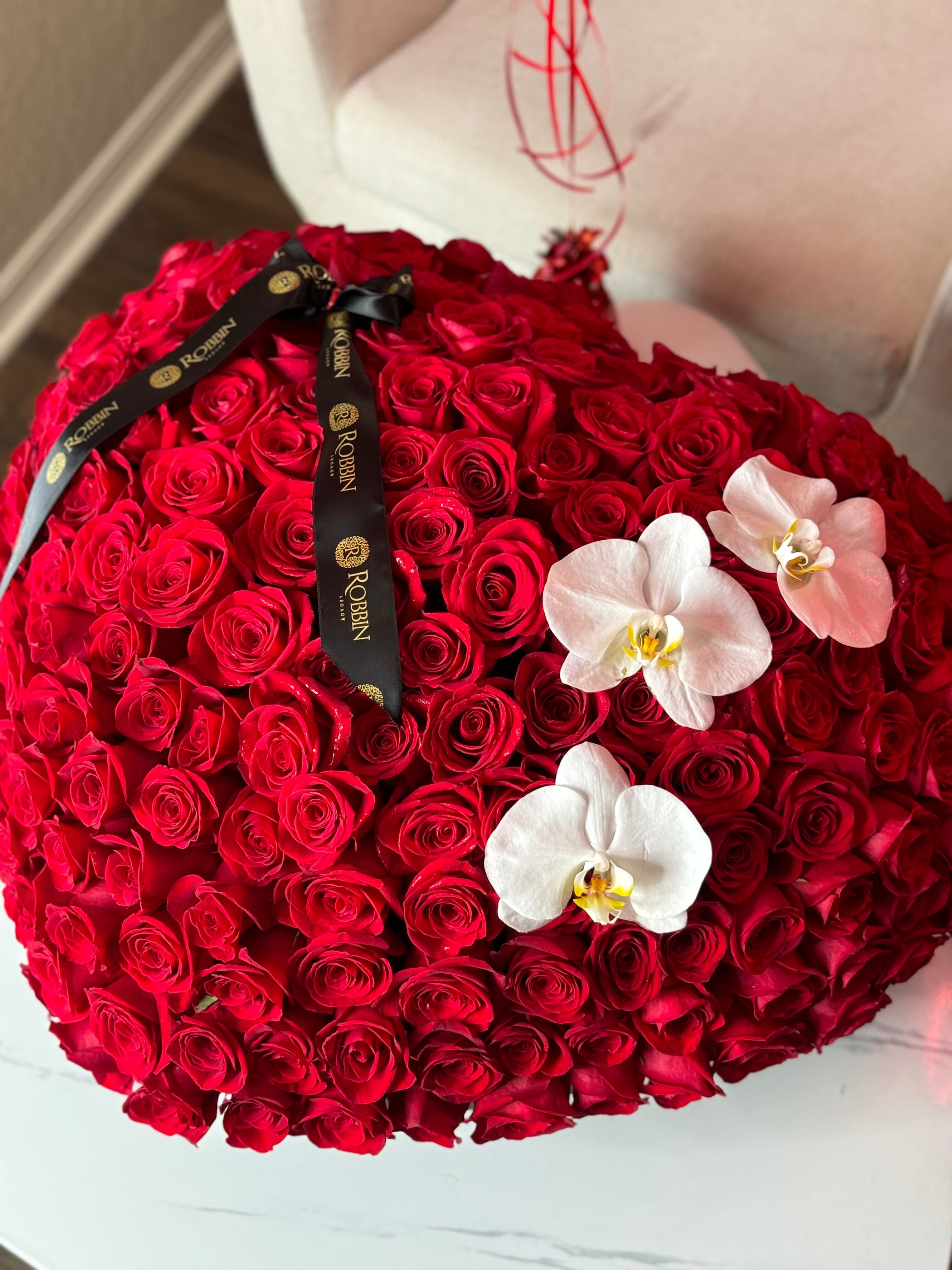 image_5164aa32-03eb-4ab2-84c4-