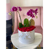 Garden Box Of Fresh Roses Flowers and orchids Miami Florida. Fresh Flowers Robbin Legacy 