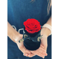 Little Beautiful Preserved Rose Miami Florida and Nationwide. Preserved Roses Robbin Legacy 